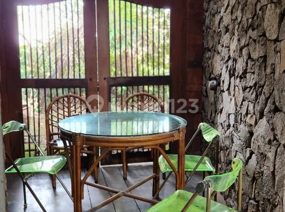 Rumah 1 Lantai Design Artistic, Adem dan Banyak Oxygen di Puspita Loka BSD City