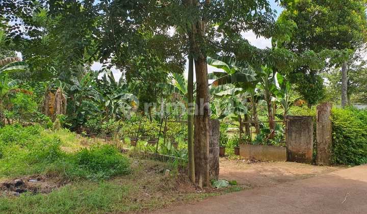 Tanah padat cocok utk perkebunan/peternakan di Sawangan Depok yang dekat ke Jakarta