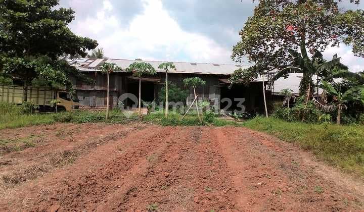 Kavling siap bangun di jalan provinsi Syech mubaroch daerah Tigaraksa - Tangerang