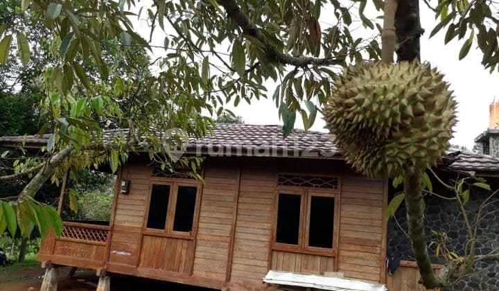 Kavling Sawah Pinggir Jalan Puncak Dua