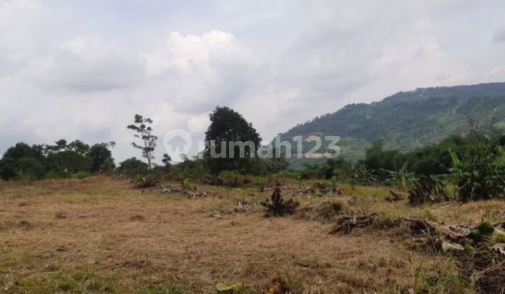 Kavling cocok utk vila hotel atau cafe di jalur puncak 2 jonggol bogor