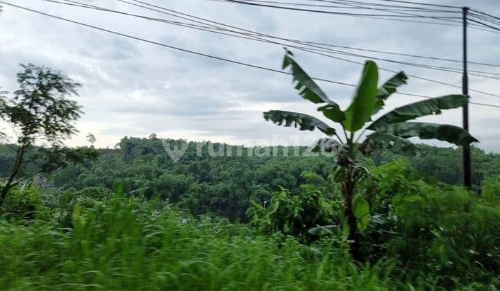 Tanah pertanian di sukajadi taman sari bogor surat lengkap dan clear