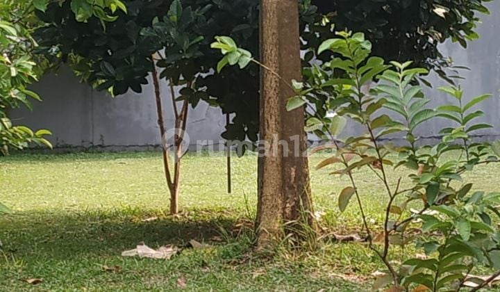 Tanah di Pinggir Jalan Dengan Lingkungan Pabrik Dan Gudang di Jalan Pemuda Gunung Sindur Bogor di Sewakan