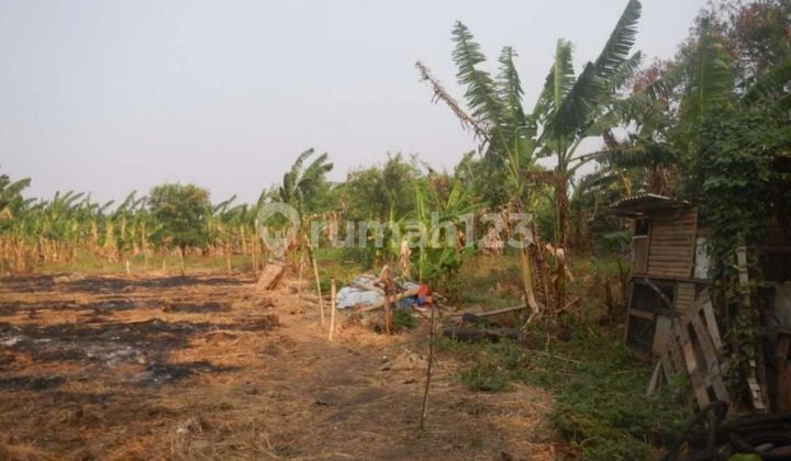 Tanah Dekat Taman Tekno Bsd