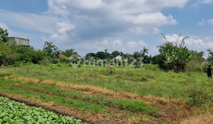 Tanah Di Jalan Raya Campang Sukabumi Lampung
