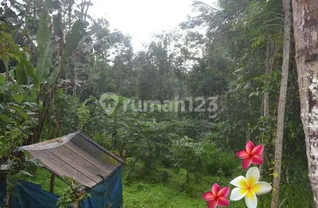 JTU 1026, Land Suitable for Investment in Tegallalang Bali Area 3 Are