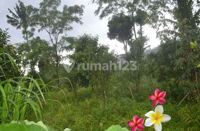 JTU 1026, Tanah Cocok Villa & Investasi Luas 300 m2