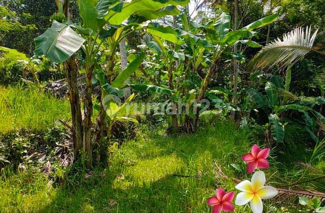 Tanah, di Ubud-Tegallalang Luas 46 Are(Jtu1122) Cocok Investasi