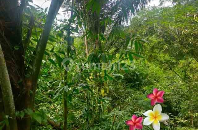 Tanah, di Ubud-Tegallalang Luas 19 Are Cocok Villa (Jtu 1214)
