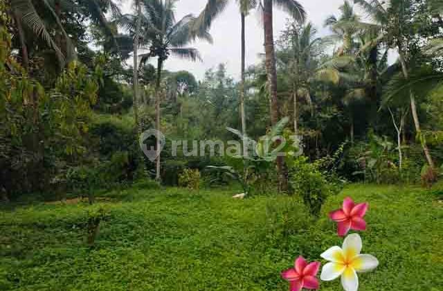 Tanah, di Payangan-Bali Luas 23 Are View Tebing (Jtu 1234)