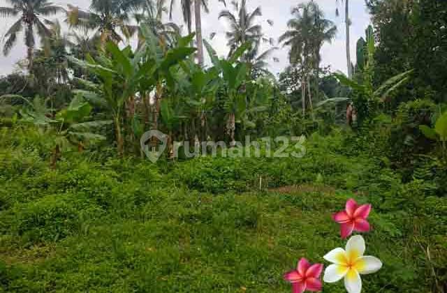 Tanah, di Payangan-Bali Luas 33 Are View Tebing (Jtu 1236)