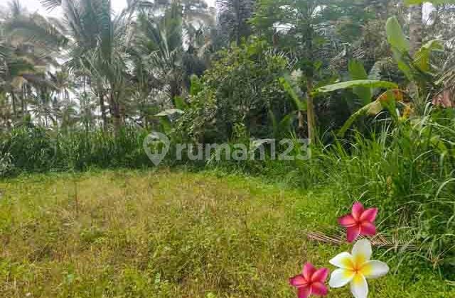 Jtu 1214, Lahan Kosong Bagus Invest Luas 19 Are di Tegallalang