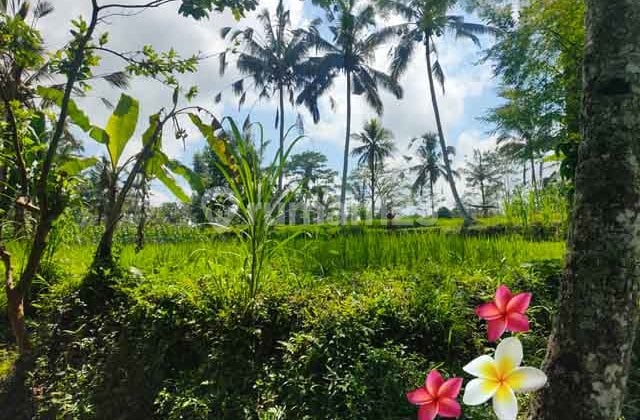 JTU 1248, Tanah Di Tegallalang Luas 14 Are Lahan Kosong