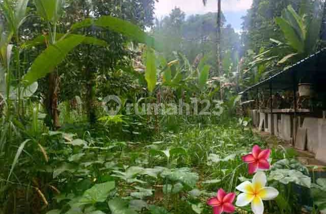 jtu 1206, tanah di tegallalang luas 800 m2 cocok villa