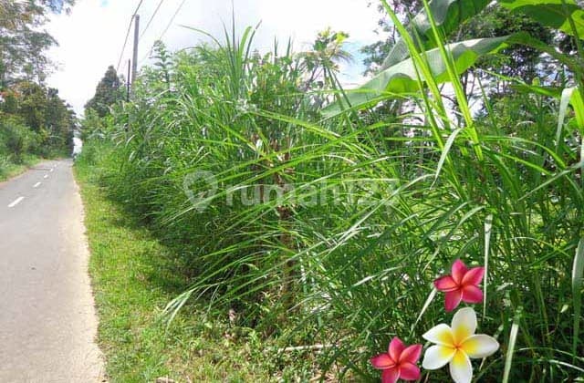 Jtu 1069, Cliff View Land Suitable for Villas, 18 Are, Tegallalang
