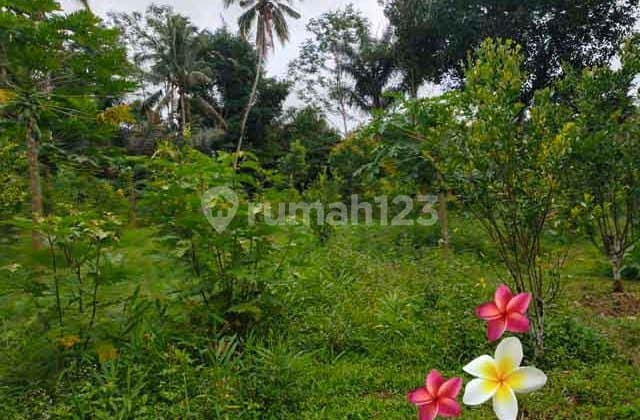 Tanah di Tegallalang-Ubud Luas 150 Cocok Investasi (Jtu 1150)