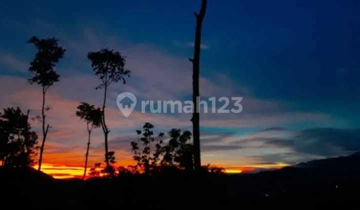 Di Jual Cepat Villa Lt 3,5 Ha Tanah Datar Imb Bisa di Urus Sukabumi Jabar