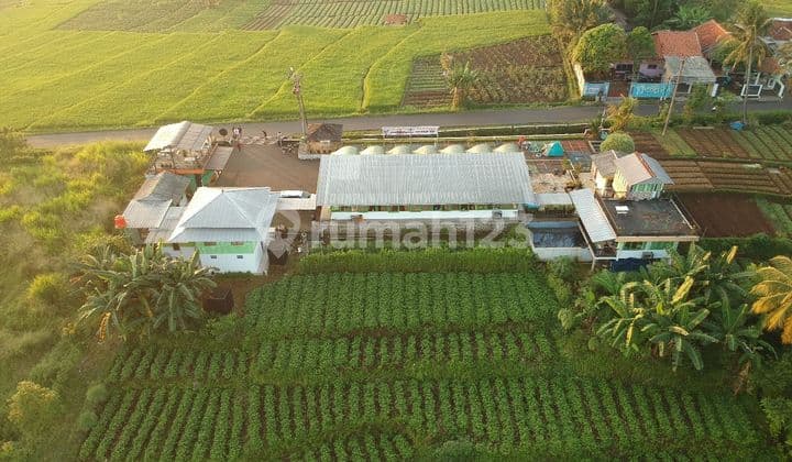 Di Jual Cepat Turun Harga Tempat Usaha Warung Makan Cafe Dan Rest Area Tenjolaya Gunung Bundar Bogor