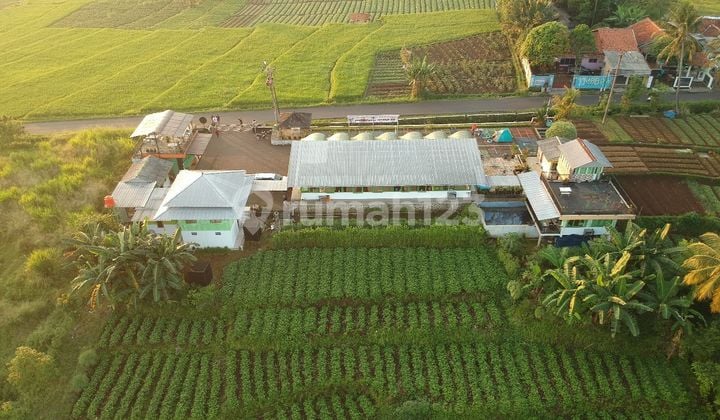 For Quick Sale, Price Reduced: Business Premises for Restaurant, Cafe, and Rest Area in Tenjolaya, Gunung Bundar, Bogor.