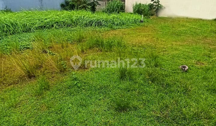 Dijual Cepat Kavling Siap Bangun Kos Kosan Anggrek Loka BSD City
