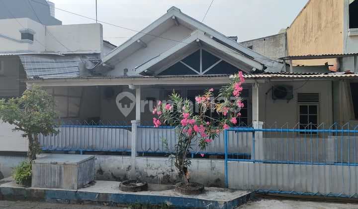 Rumah Dekat Bandara Dan Binus, Puri Anjasmoro, Semarang Barat