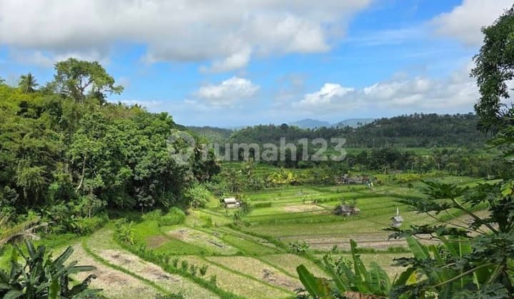 Land leasehold 1ha riceview Tirtagangga ababi karangasem
