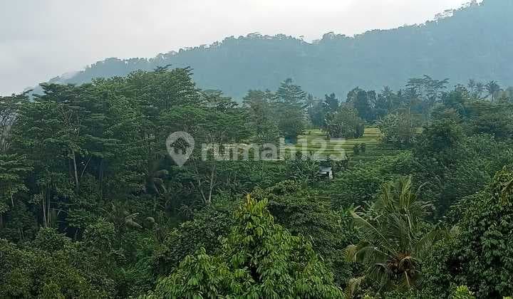 Tanah Sidemen Jungle Riceview