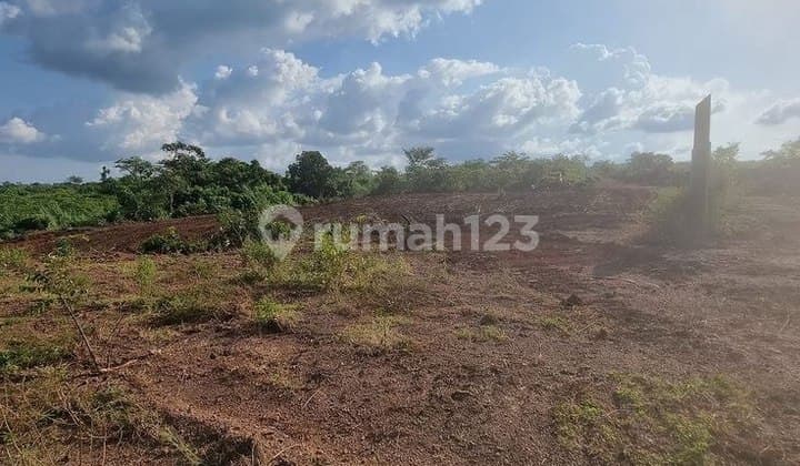 For Sale Land Raya Bancar – Tuban, East Java