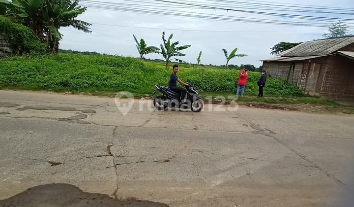 Tanah Dijual di Pinggir Jalan Raya Harga Nego Zona Kuning