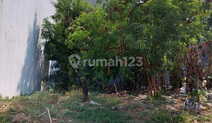 Taman Palem Lestari ,KAVLING, Siap Bangun, Cluster