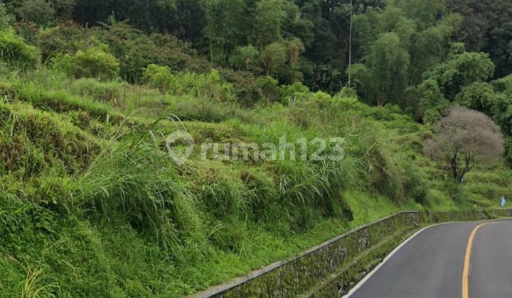Tanah Raya Ciwidey Cocok Utk Resto,Resort,Hotel,Rumah Mkn Sunda