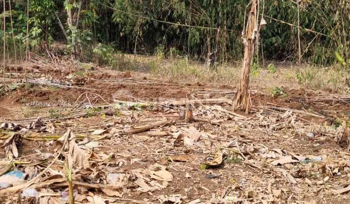 Tanah di Jual Cocok Utk Gudang Or Perumahan Di Cibogo Cisauk