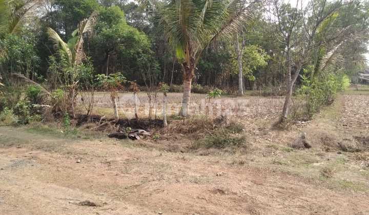Dijual Cepat Bu Tanah Industri Kav.mabes Margasari Tigaraksa