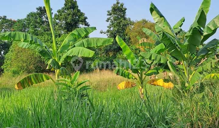 LAND PLOT NEAR THE MAYOR'S OFFICE Suitable for building housing