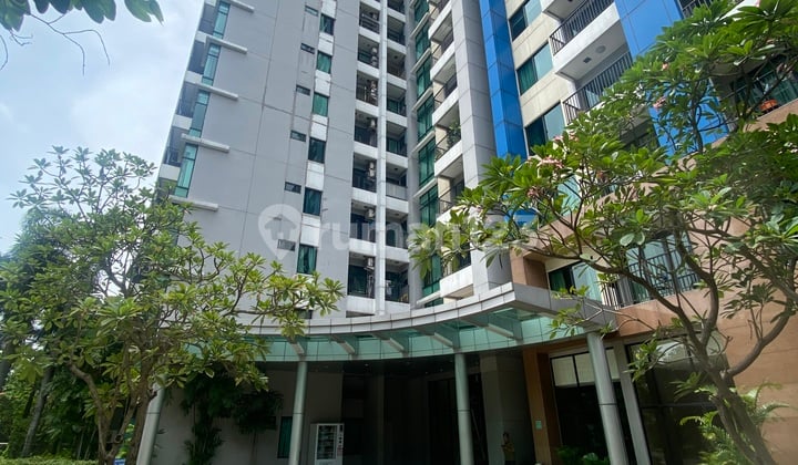 Apartemen Hampton Bagus Lantai Sedang