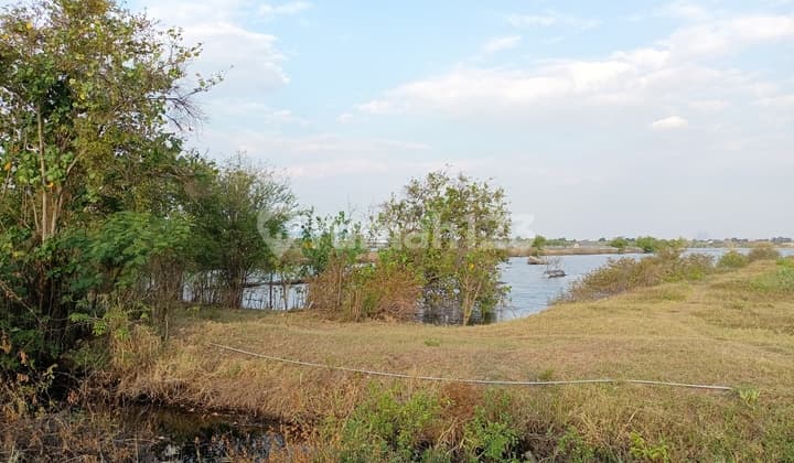 Tanah Industri Di Kawasan Industri Kendal di Mororejo,arah pelabuhan Kendal