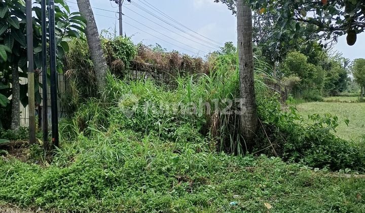 Tanah Luas Area Medari Sleman