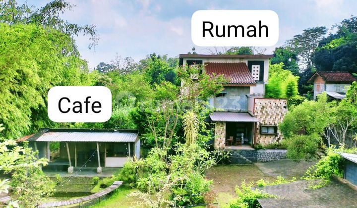 Rumahh Cocok Untuk Cafe Di Jl Kaliurang Ngaglik Sleman Yogyakarta