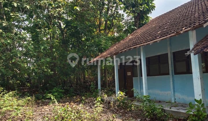 Tanah Murah Luas Playen Gunung Kidul