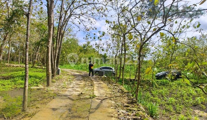 Tanah Luas Jl Baron Wonosari