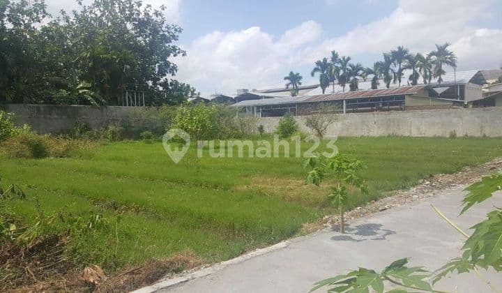 Tanah Pekarangan Di Kragilan Dalam Ring Road , Dekat Sindu Kusuma Edupark Cocok Untuk Hunian, Rumah Kost Atau Investasi
