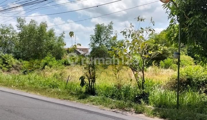 Tanah Pekarangan Di Berbah Dekat Kids Fun Park, Cocok Untuk Gudang Atau Perumahan