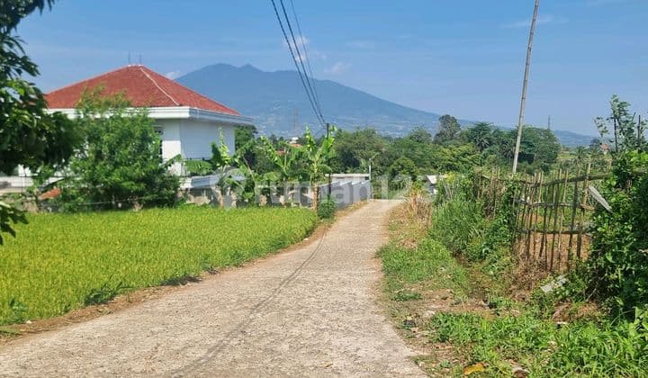 Tanah Lokasi Favorit 10menit Dari.pintu Toll.caringin Bogor.view Gunung,nempel Kali Tanah di Caringin 7500.0 m² Girik