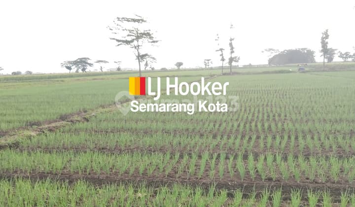 Tanah di kawasan industri