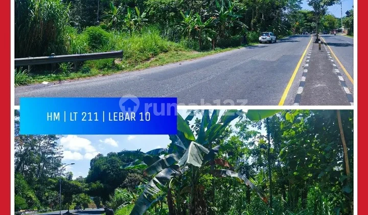 Land in the southern ring of Salatiga. Land in the southern ring of Salatiga.