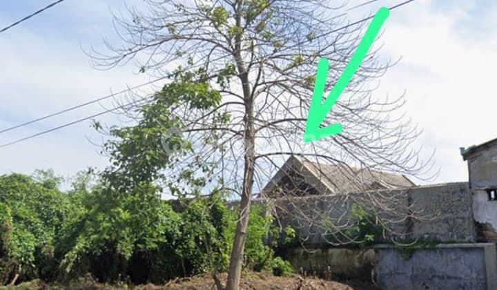 Jual Serius ..Segera..Nego Sampai Deal !! Rumah Burung Walet Aktif di Cirebon di Lemahwungkuk Lt.495 .Dekat Pom Bensin Cangkol