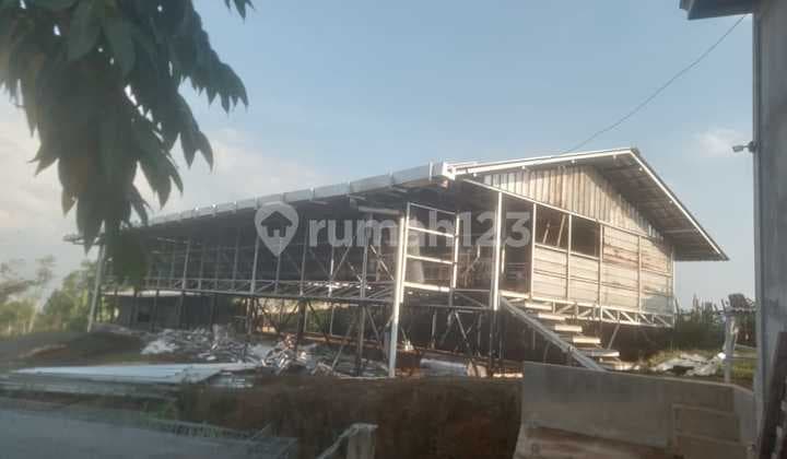 Profitable Layer Chicken Farm Business, 1.6 Hectares in Rancakalong, Sumedang