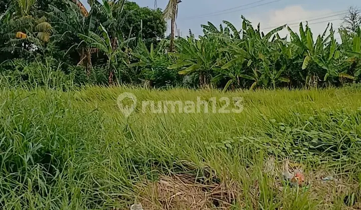 Shm Land 3,750 m² Cheap Sumberjaya South Tambun Bekasi