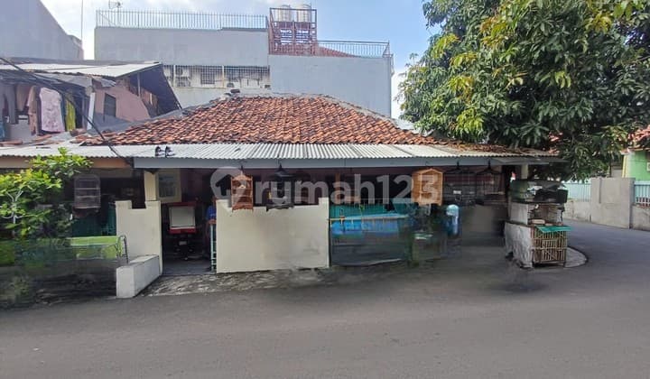Rumah Tua Lokasi Bagus Cocok Untuk Bangun Kost, Tomang, Jakarta Barat
