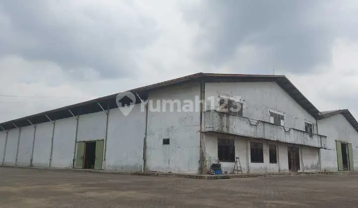 Factory for Quick Sale! Very Affordable Price